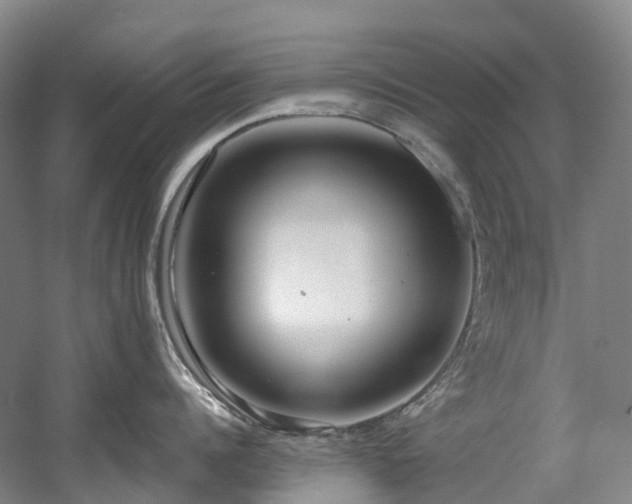 X0000058810960200509301230