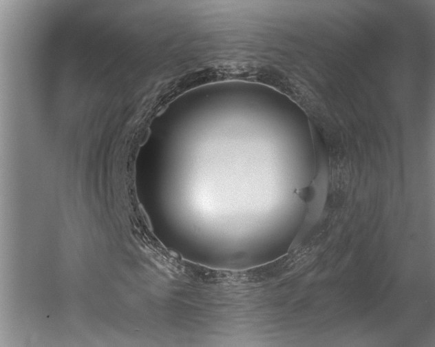 X0000058810961200509301229