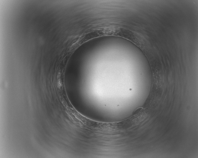 X0000058810962200509301229