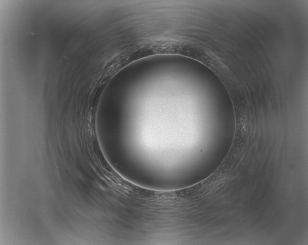 X0000058810964200509301229