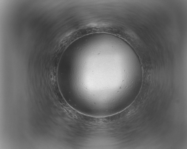 X0000058810966200509301229