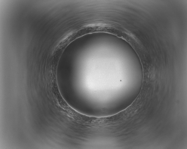 X0000058810967200509301229