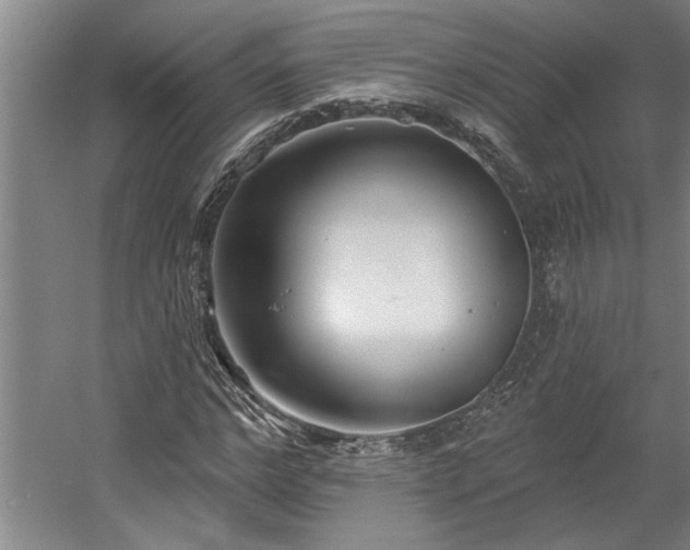 X0000058810968200509301229