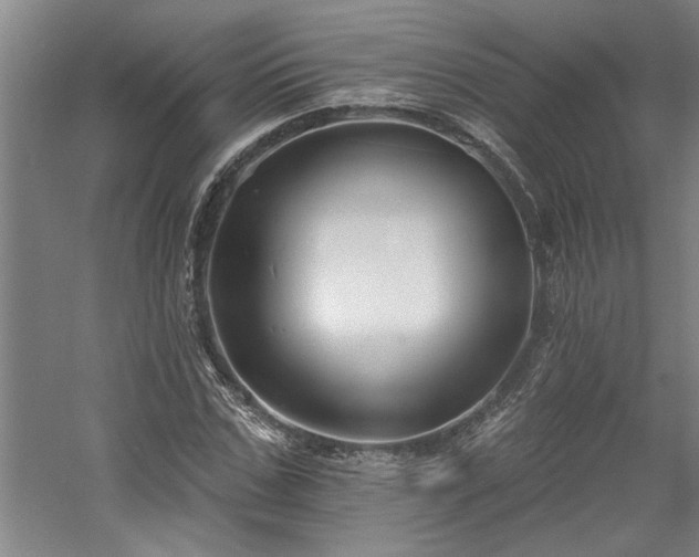 X0000058810971200509301229