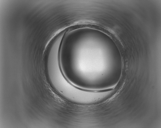 X0000058810973200509301229