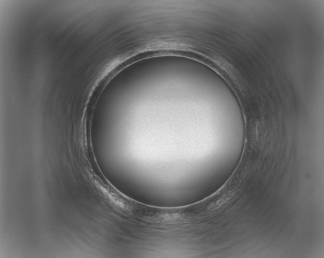 X0000058810982200509301229