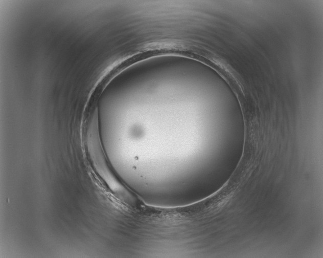 X0000058810983200509301229