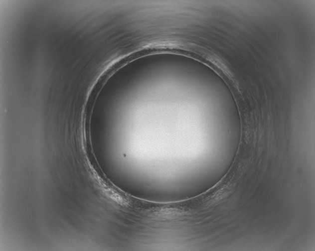 X0000058810984200509301229