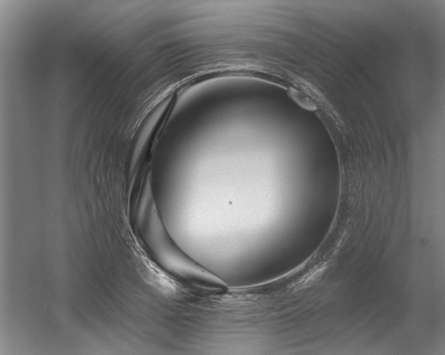 X0000058810985200509301229