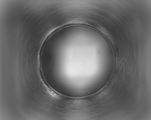 X0000058810988200509301229