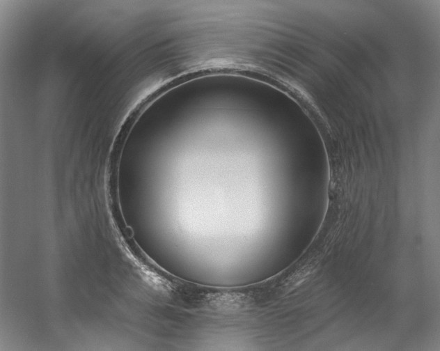 X0000058810991200509301229