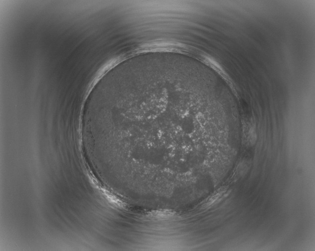 X0000058810994200509301228