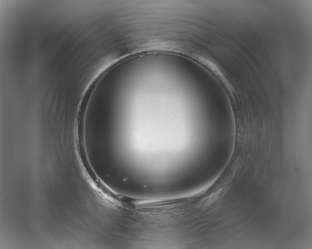 X0000058810999200509301228