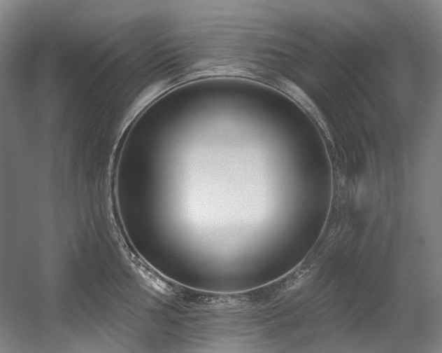 X0000058811002200509301228