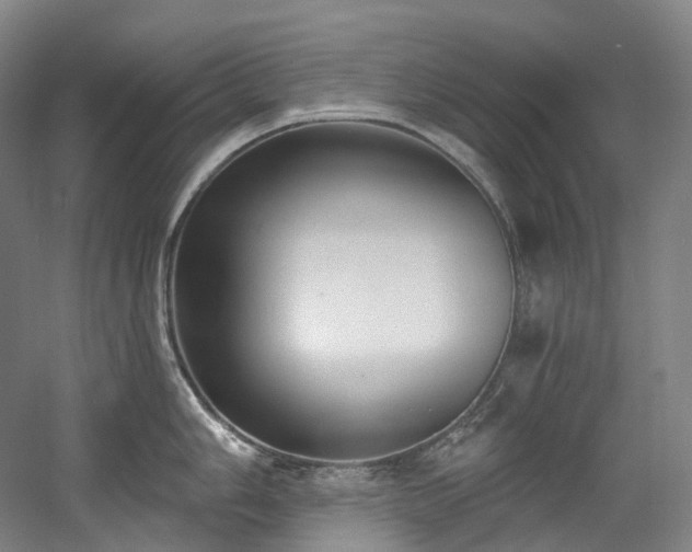 X0000058811006200509301228