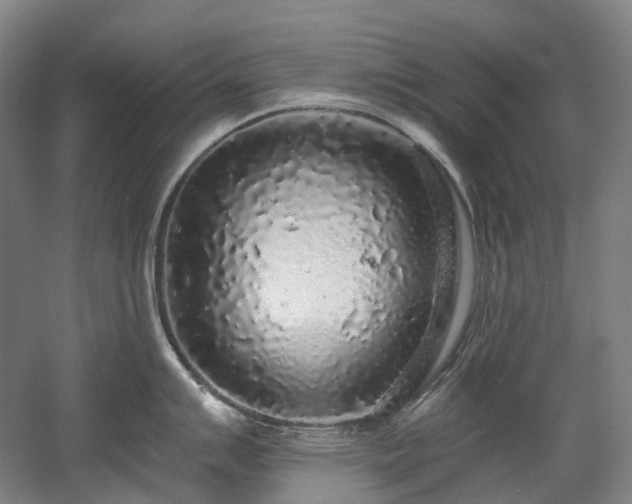 X0000058811007200509301228