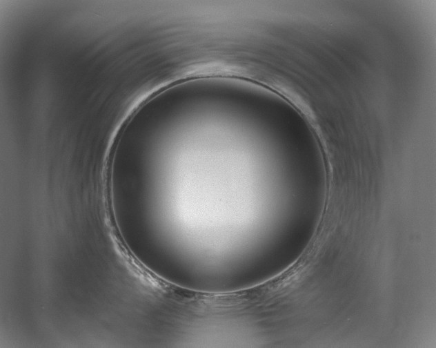 X0000058811008200509301228