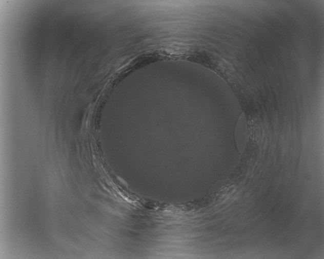 X0000058811009200509301227