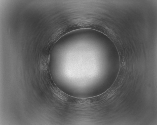 X0000058811012200509301227