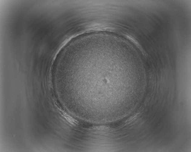 X0000058811023200509301228