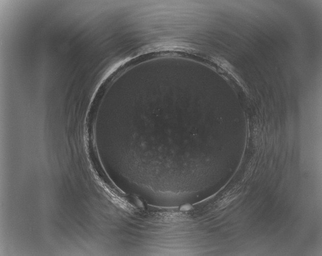 X0000058811024200509301228