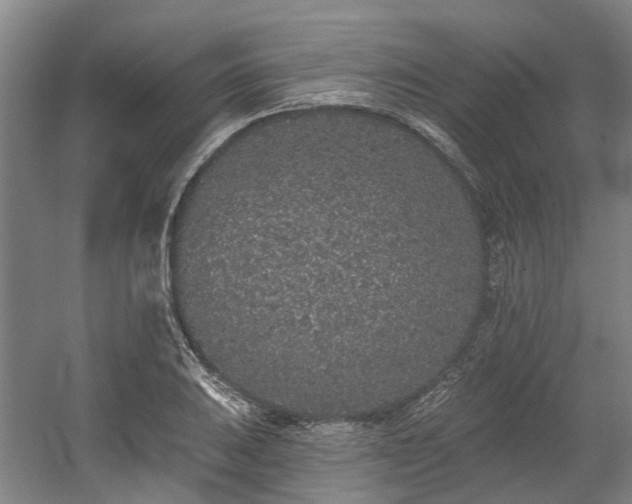 X0000058811031200509301228