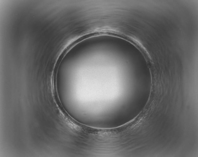 X0000058811032200509301228