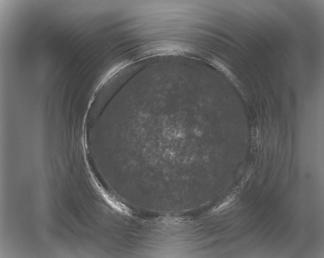 X0000058811034200509301228