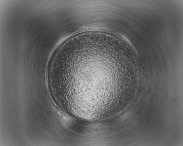 X0000058811035200509301228