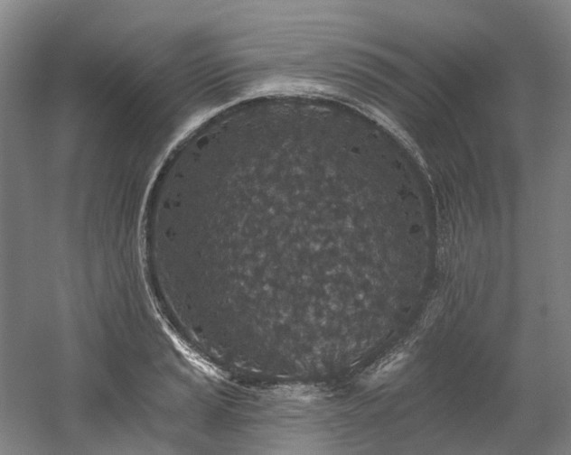 X0000058811037200509301228