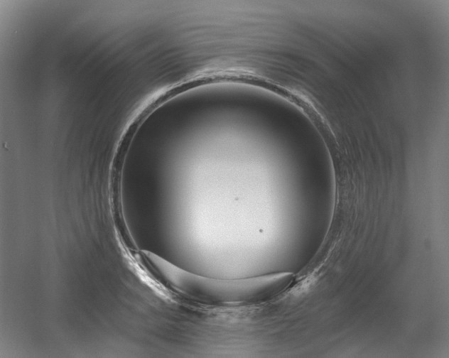 X0000058811038200509301228