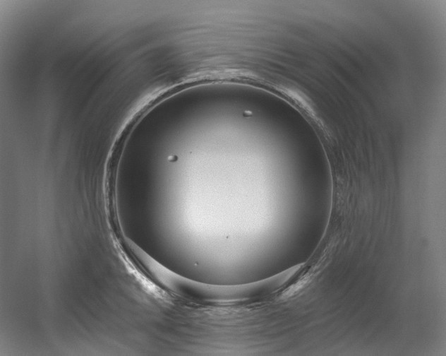 X0000058811046200509301228