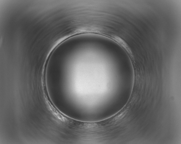 X0000058811052200509301228