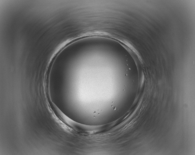 X0000058811054200509301228