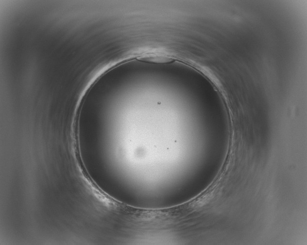 X0000058811056200509301228