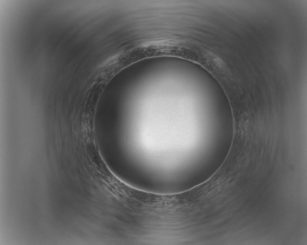 X0000058811062200509301227