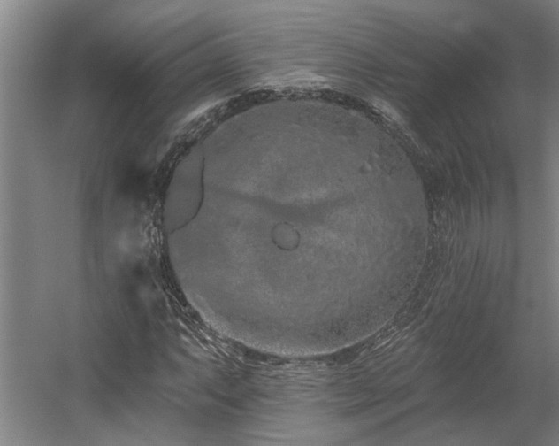 X0000058811063200509301227