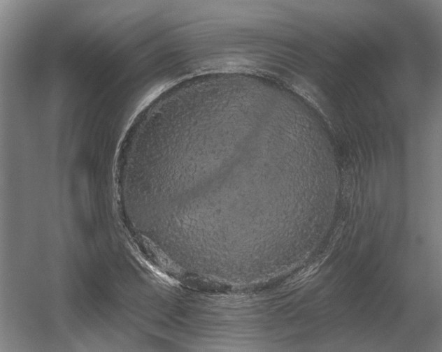 X0000058811071200509301227