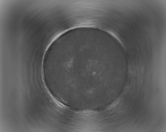 X0000058811077200509301227