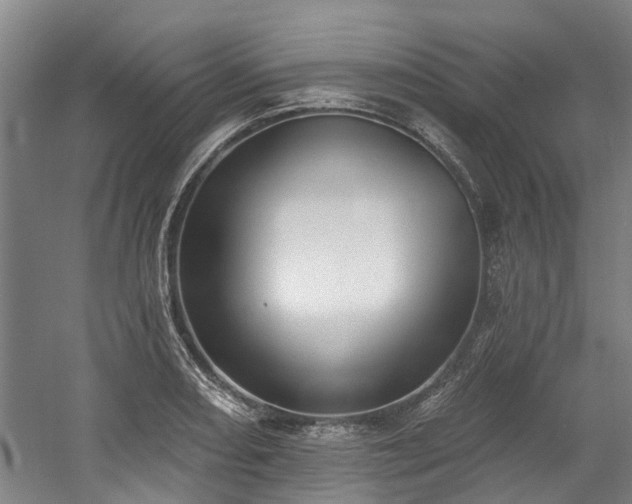 X0000058811082200509301227