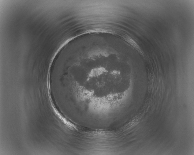 X0000058811084200509301227