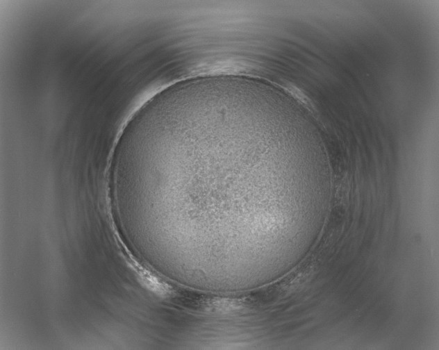 X0000058811086200509301227