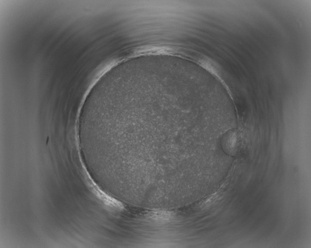 X0000058811090200509301227