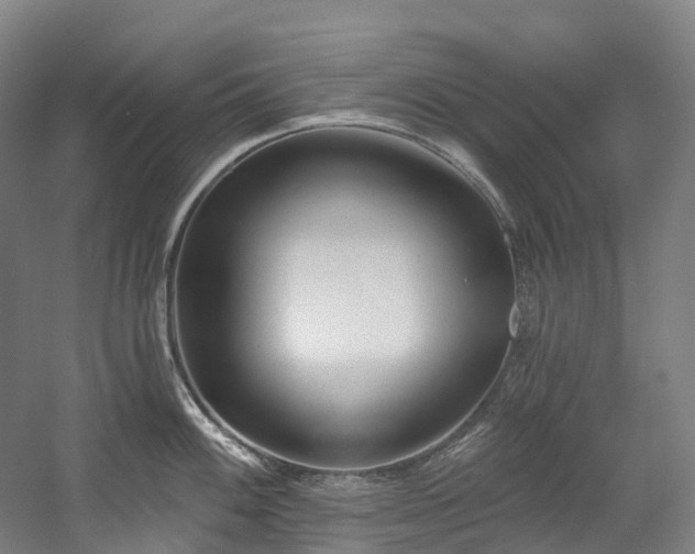 X0000058811100200509301227