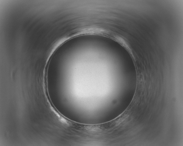 X0000058811103200509301227