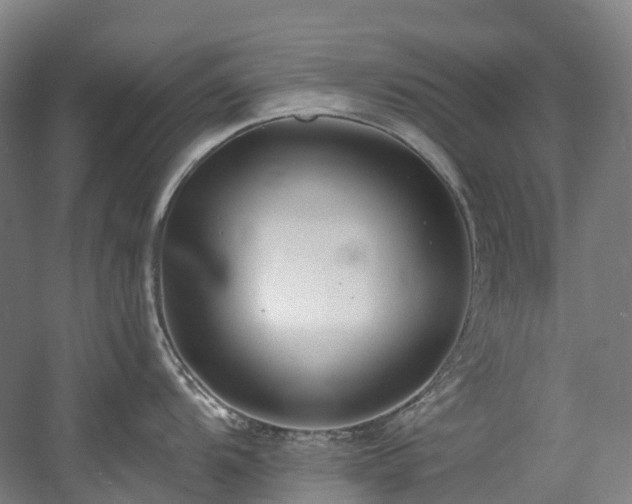 X0000058811104200509301227