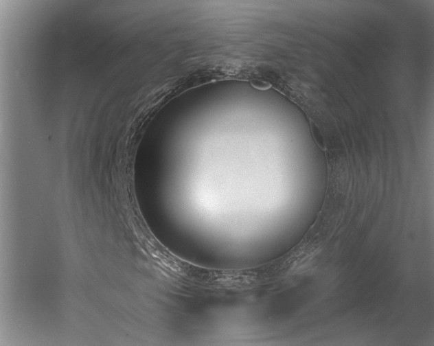 X0000058811105200509301226