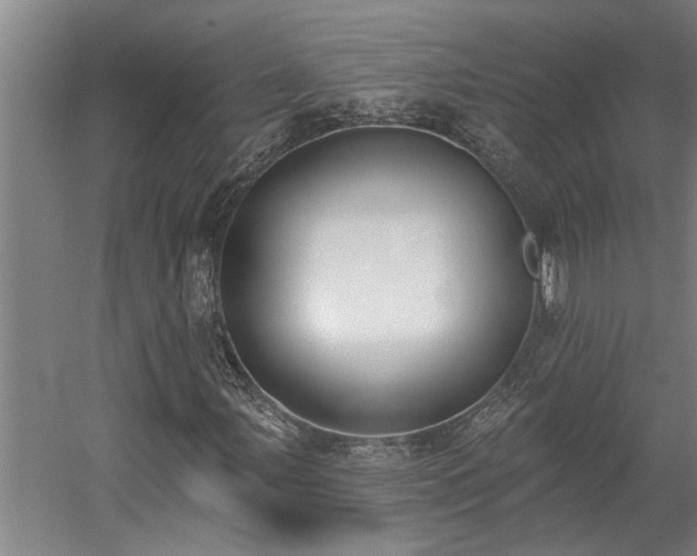 X0000058811107200509301226