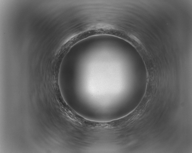 X0000058811112200509301226