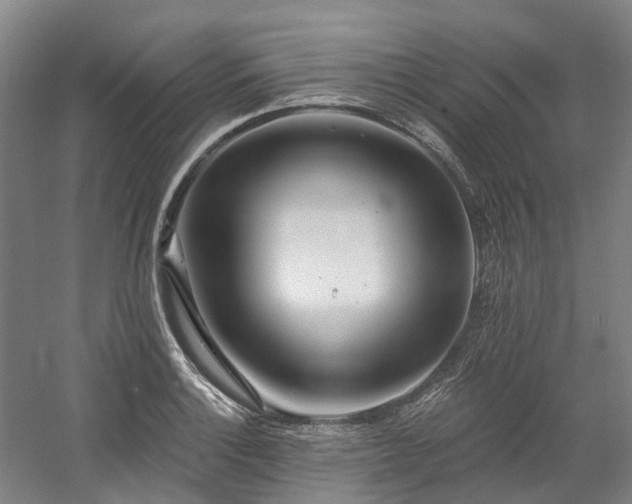 X0000058811132200509301226